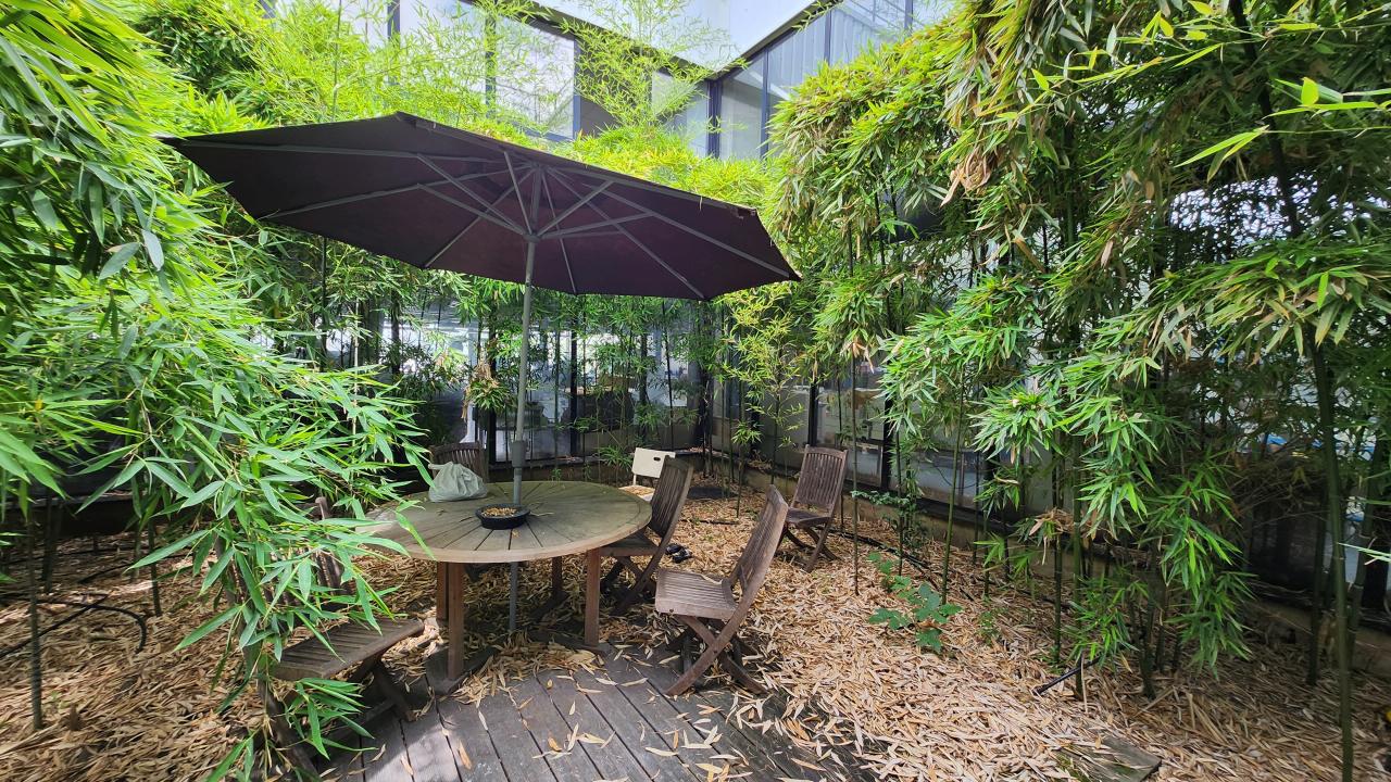 Local d'activité Champigny-sur-Marne 1900m² Vente local d'activité Champigny-sur-Marne Val-de-Marne OVACT2533676 7